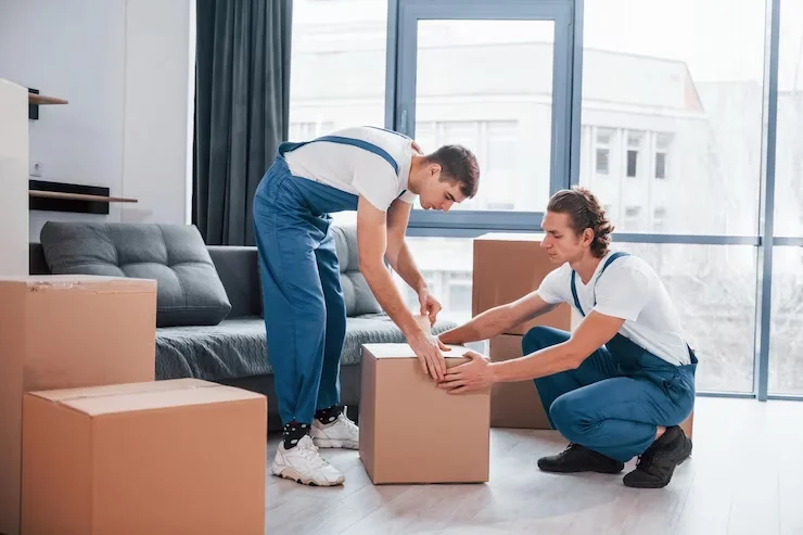 Two movers in blue overalls packing a cardboard box in a modern living room, emphasizing