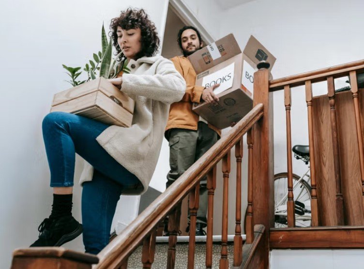 People carefully moving plants and boxes up stairs during a house removal.